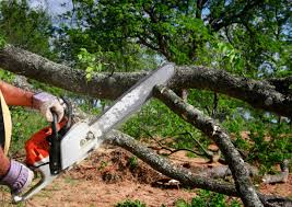 Best Commercial Tree Services  in Battlefield, MO